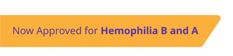 Photo of a diver perched on an Alhemo® pen, ready to jump.